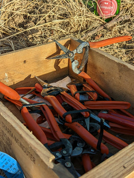 a box full of bullets