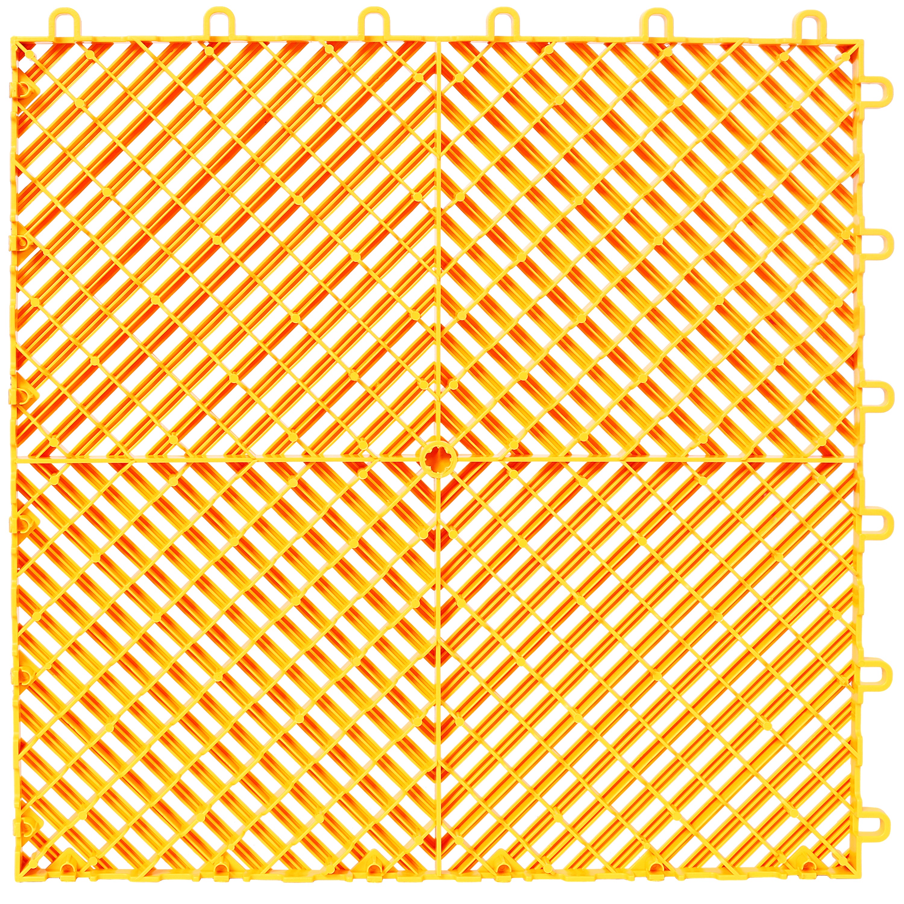 24559983