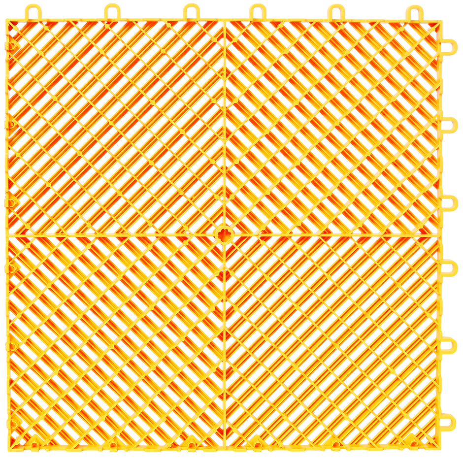 24559983