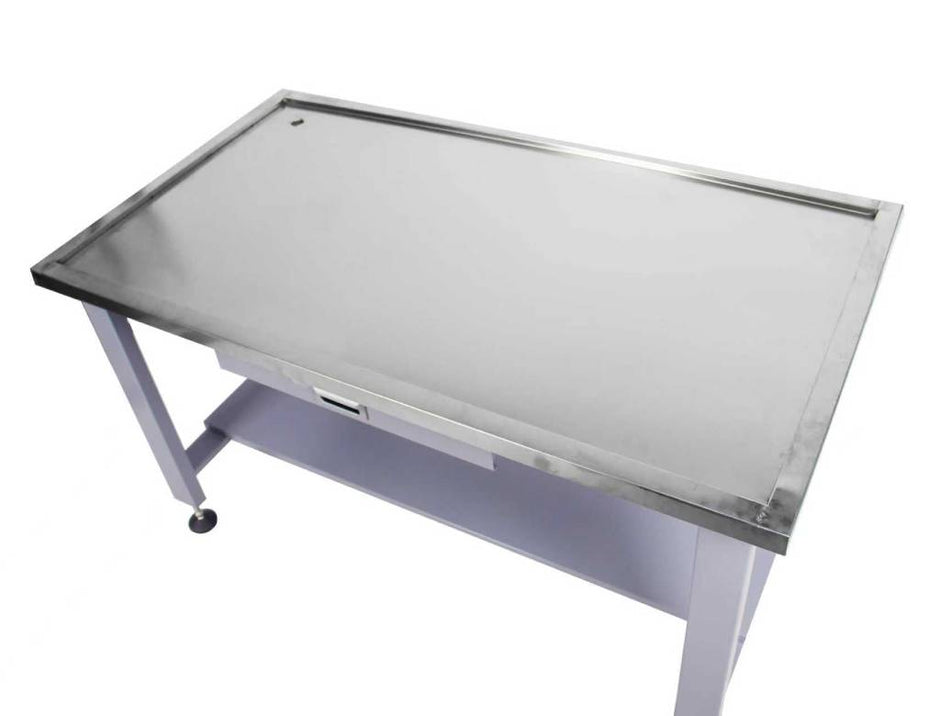 Stainless steel workbench with storage shelf, ideal for garage or workshop organization